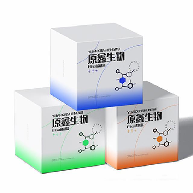 線(xiàn)粒體呼吸鏈復(fù)合體Ⅰ/NADH-輔酶Q還原酶試劑盒